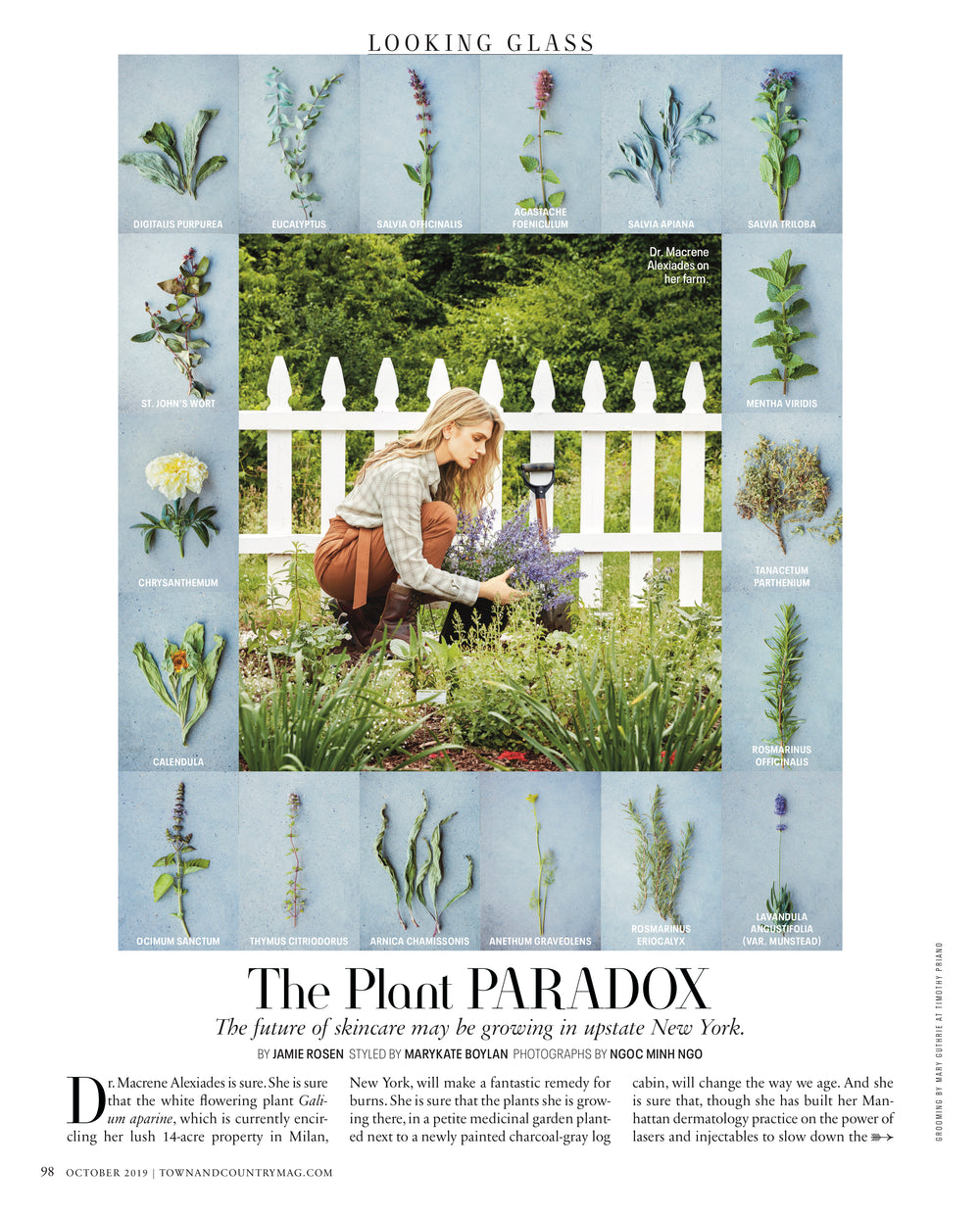 Town & Country: The Plant Paradox